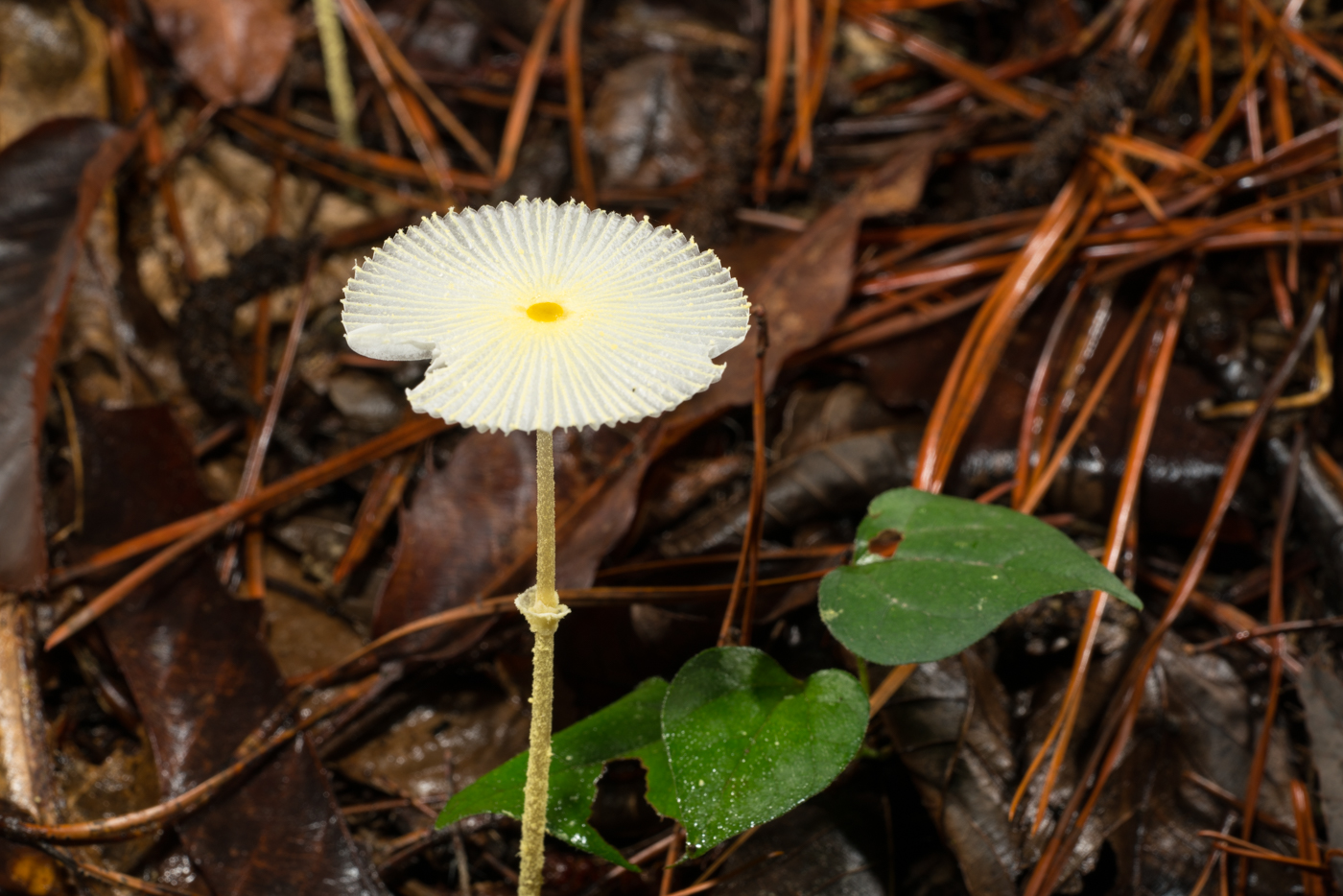 YDY02764.jpg