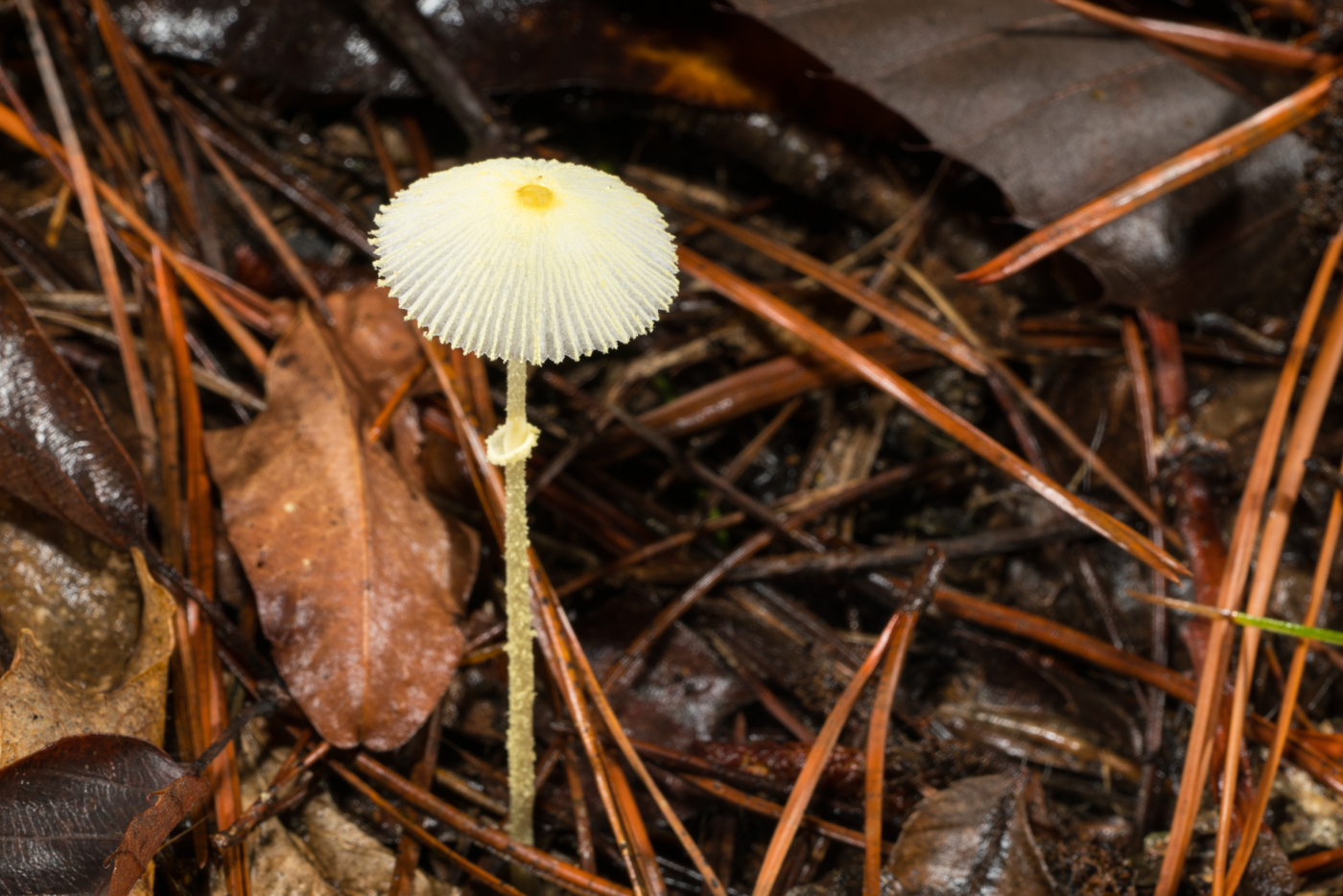 YDY02762.jpg