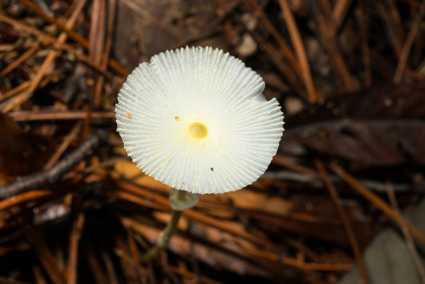 YDY02731.jpg