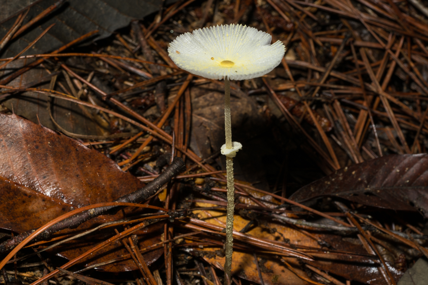 YDY02729.jpg