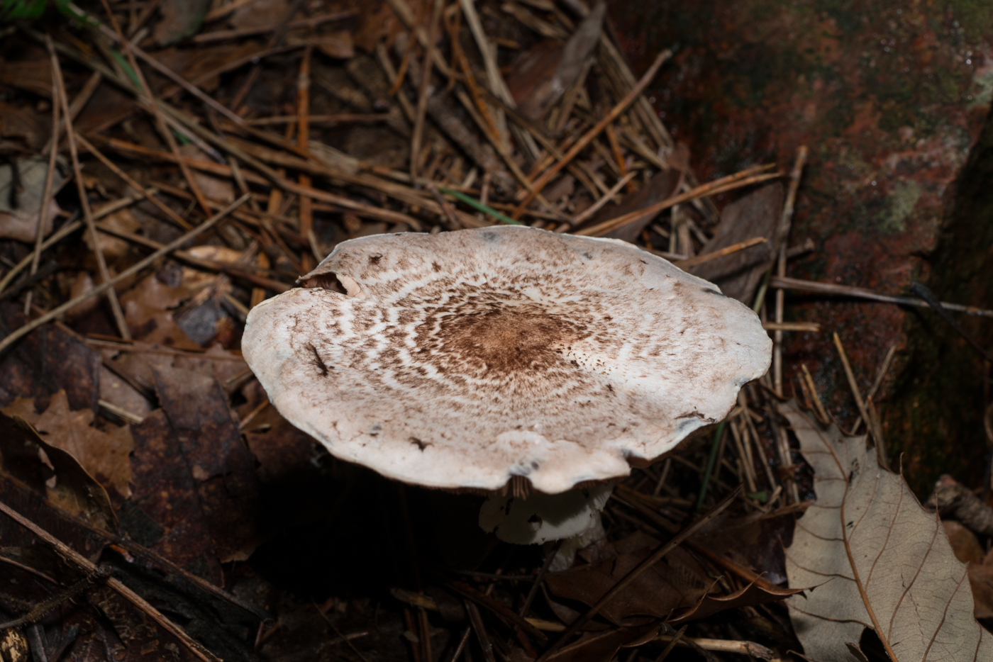 YDY05863.jpg
