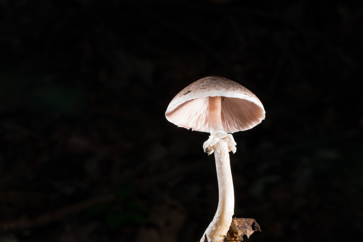 YDY05878.jpg