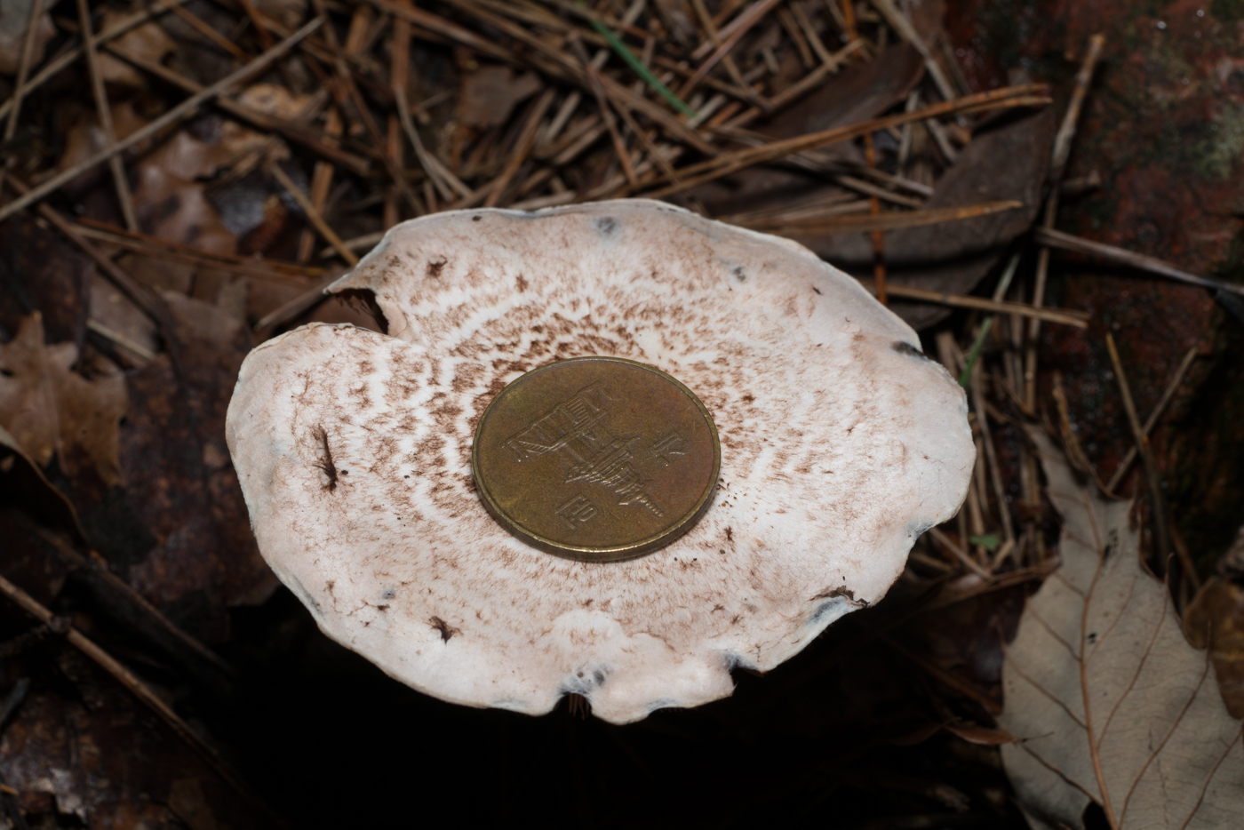 YDY05864.jpg