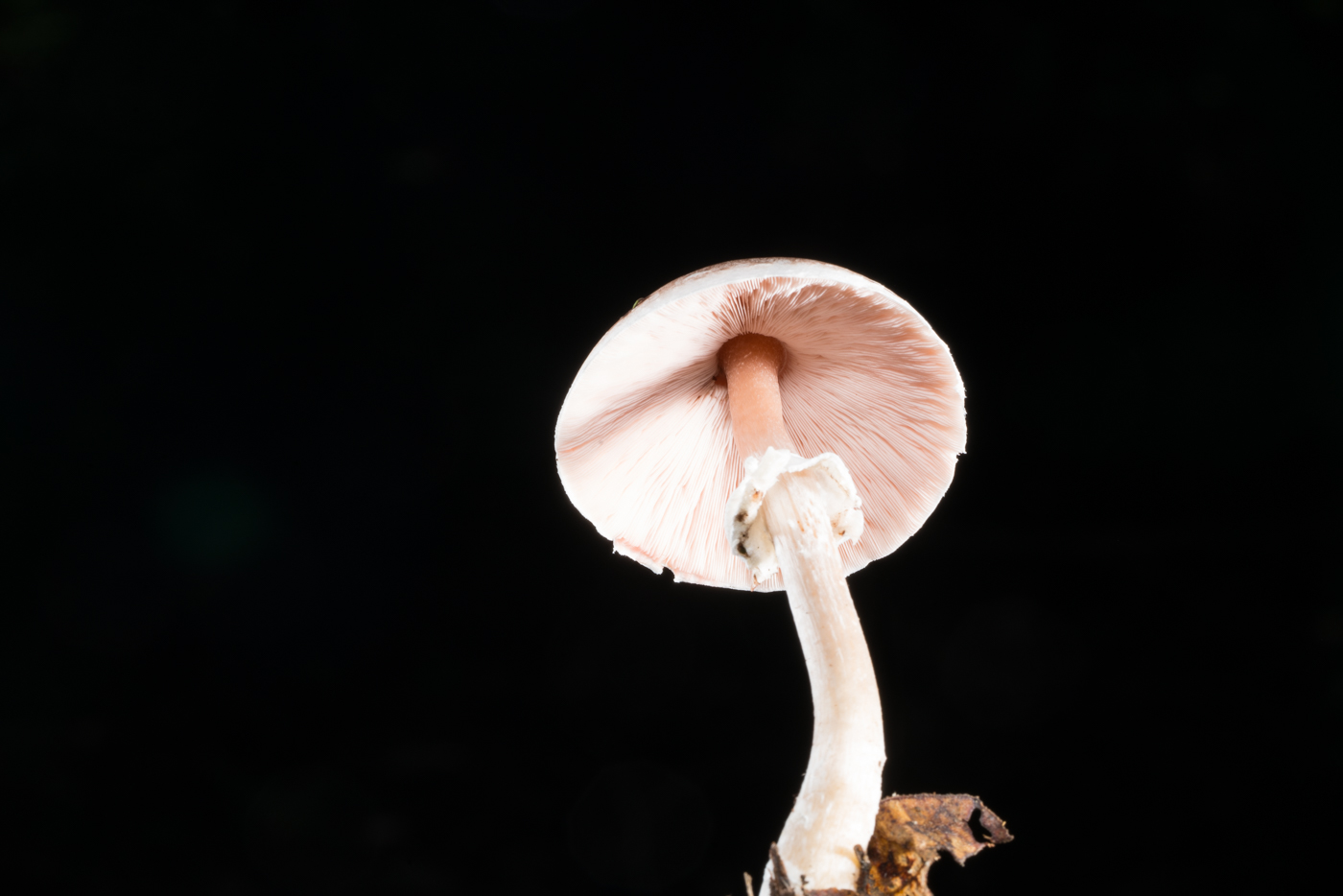 YDY05875.jpg