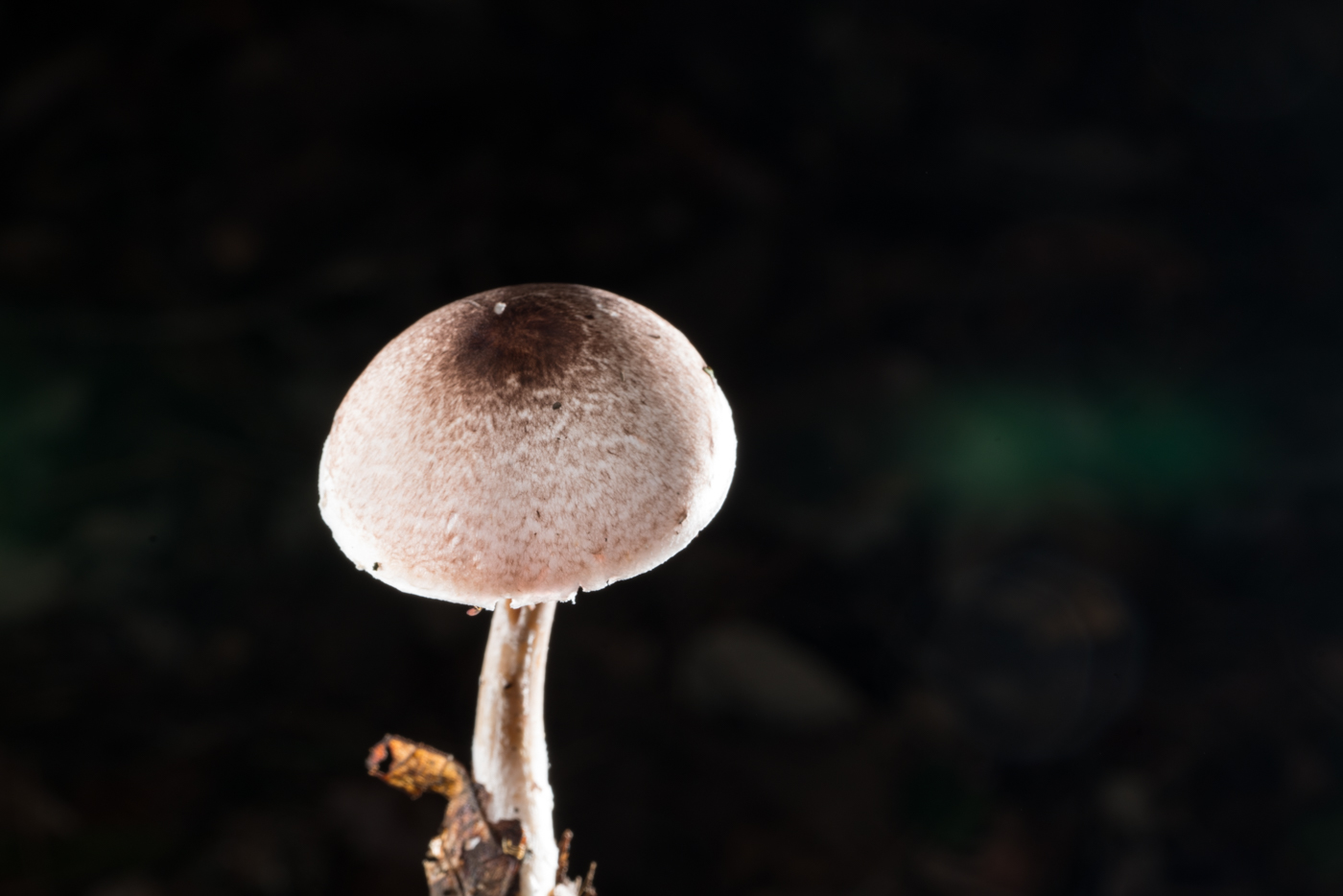 YDY05867.jpg