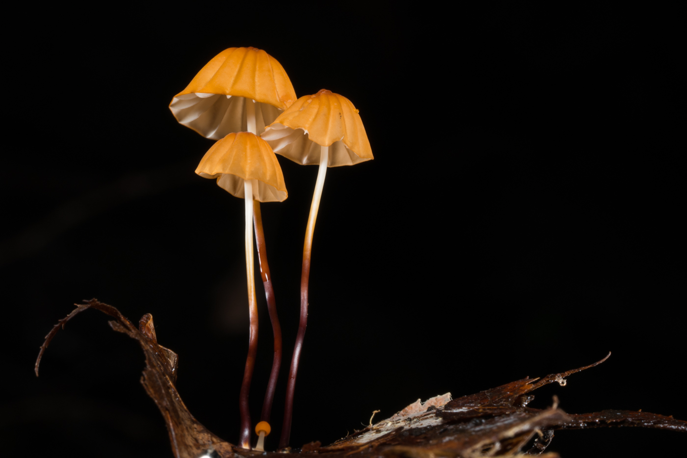 YDY05734.jpg