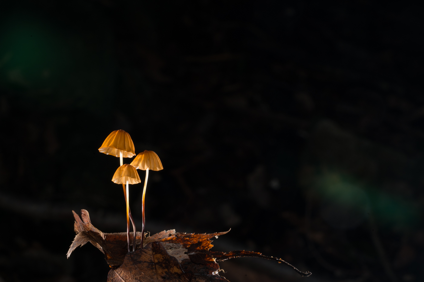 YDY05772.jpg