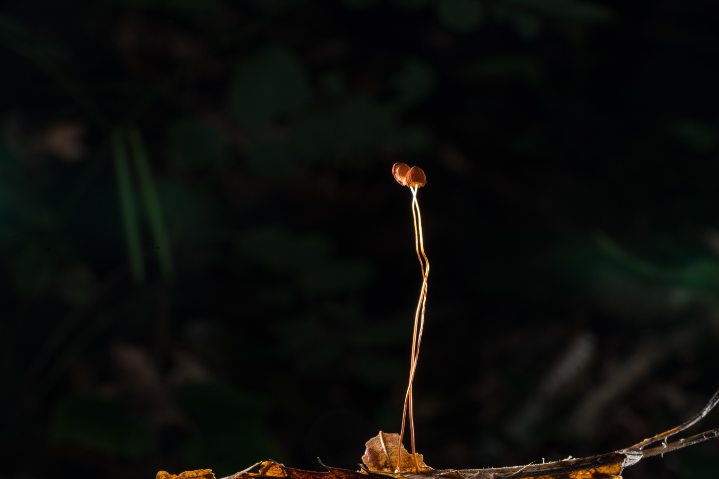 YDY05861.jpg