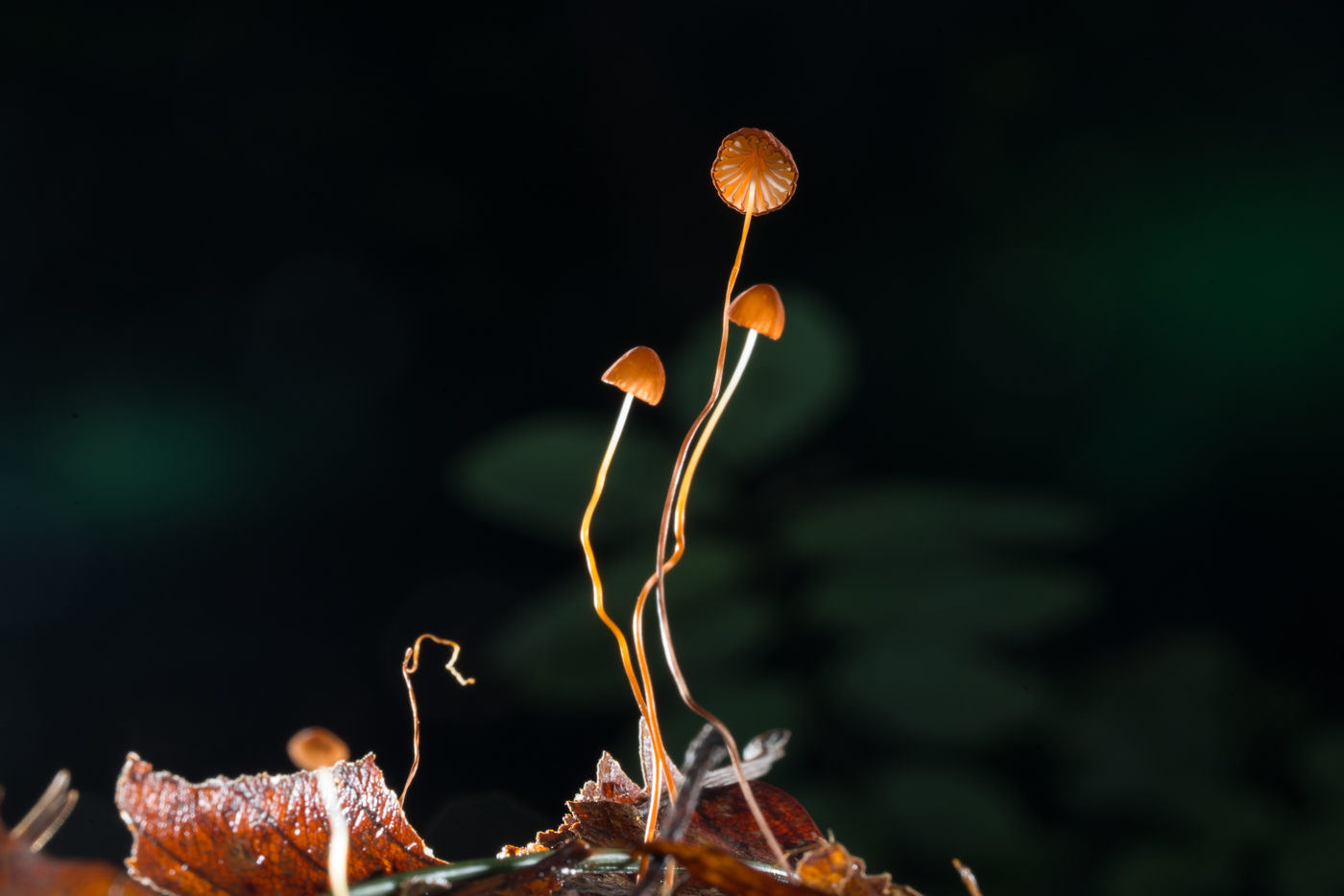 YDY05850.jpg