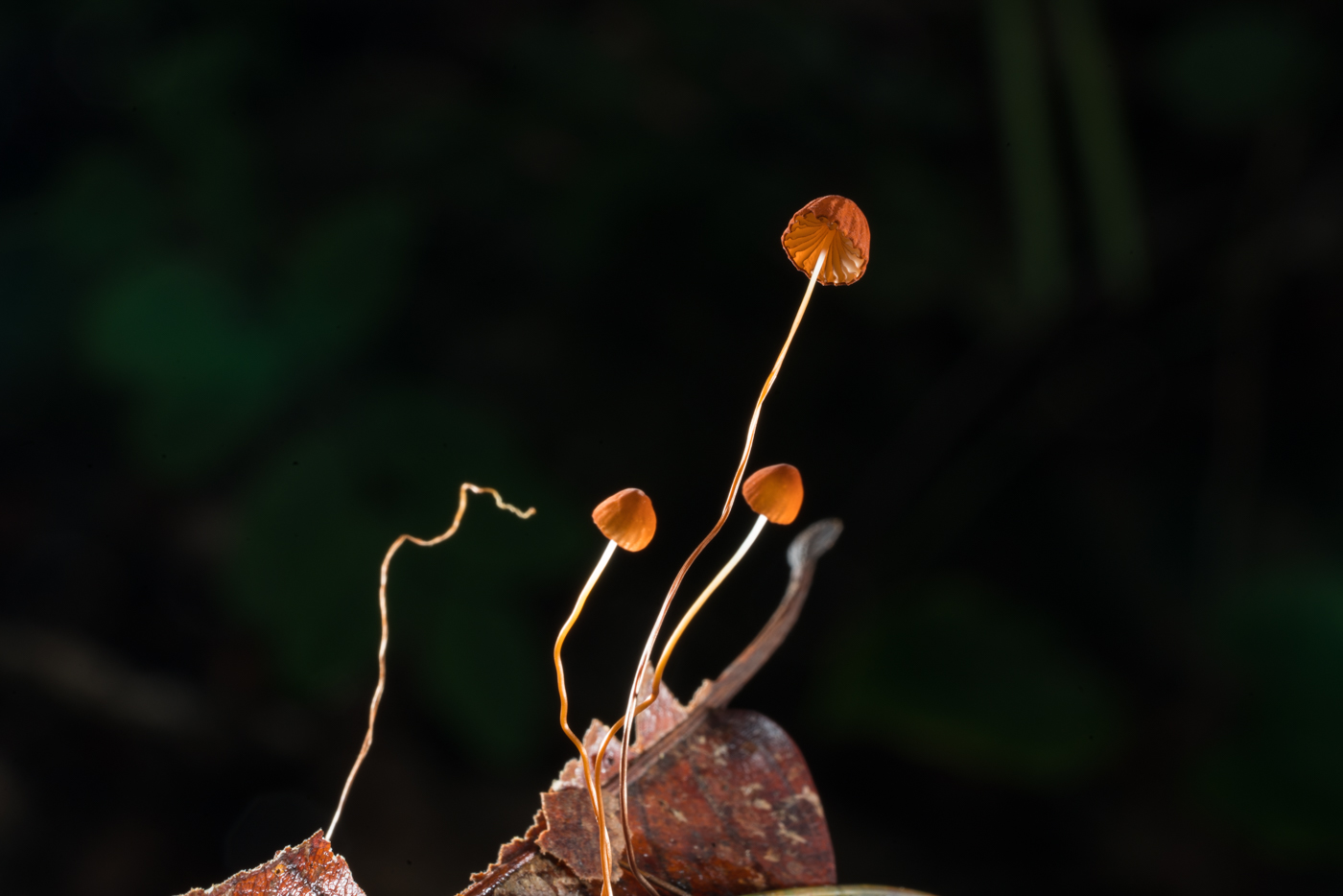 YDY05852.jpg