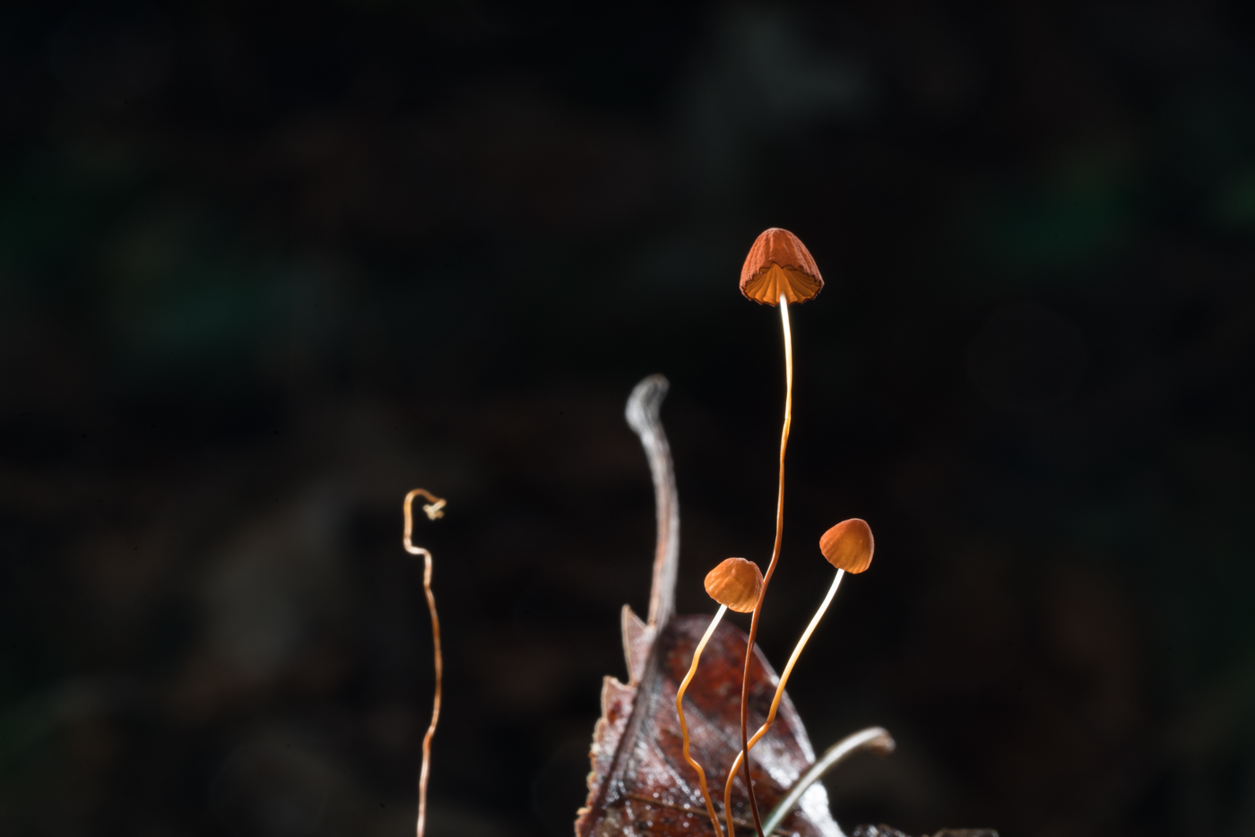 YDY05847.jpg