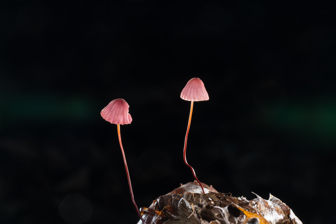 YDY05892.jpg