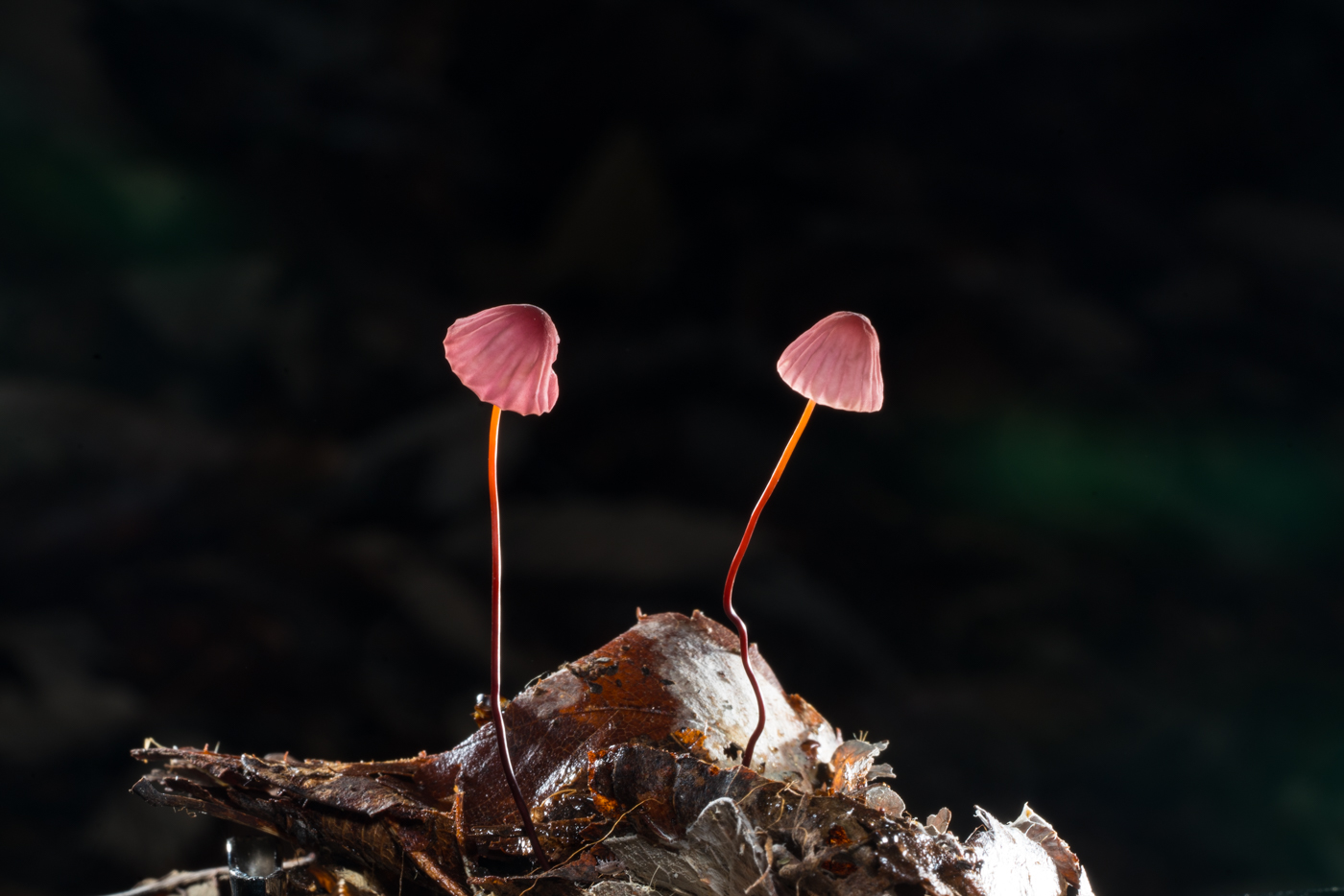 YDY05896.jpg