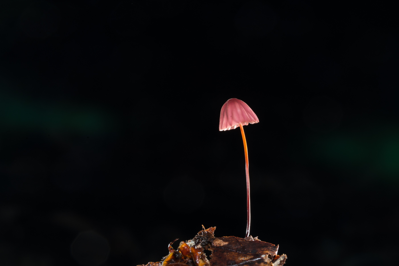 YDY05901.jpg