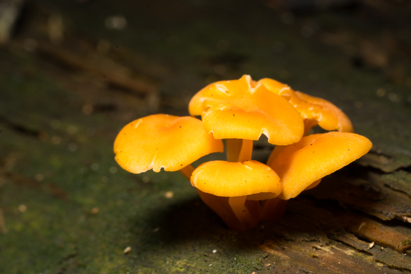 YDY08783.jpg