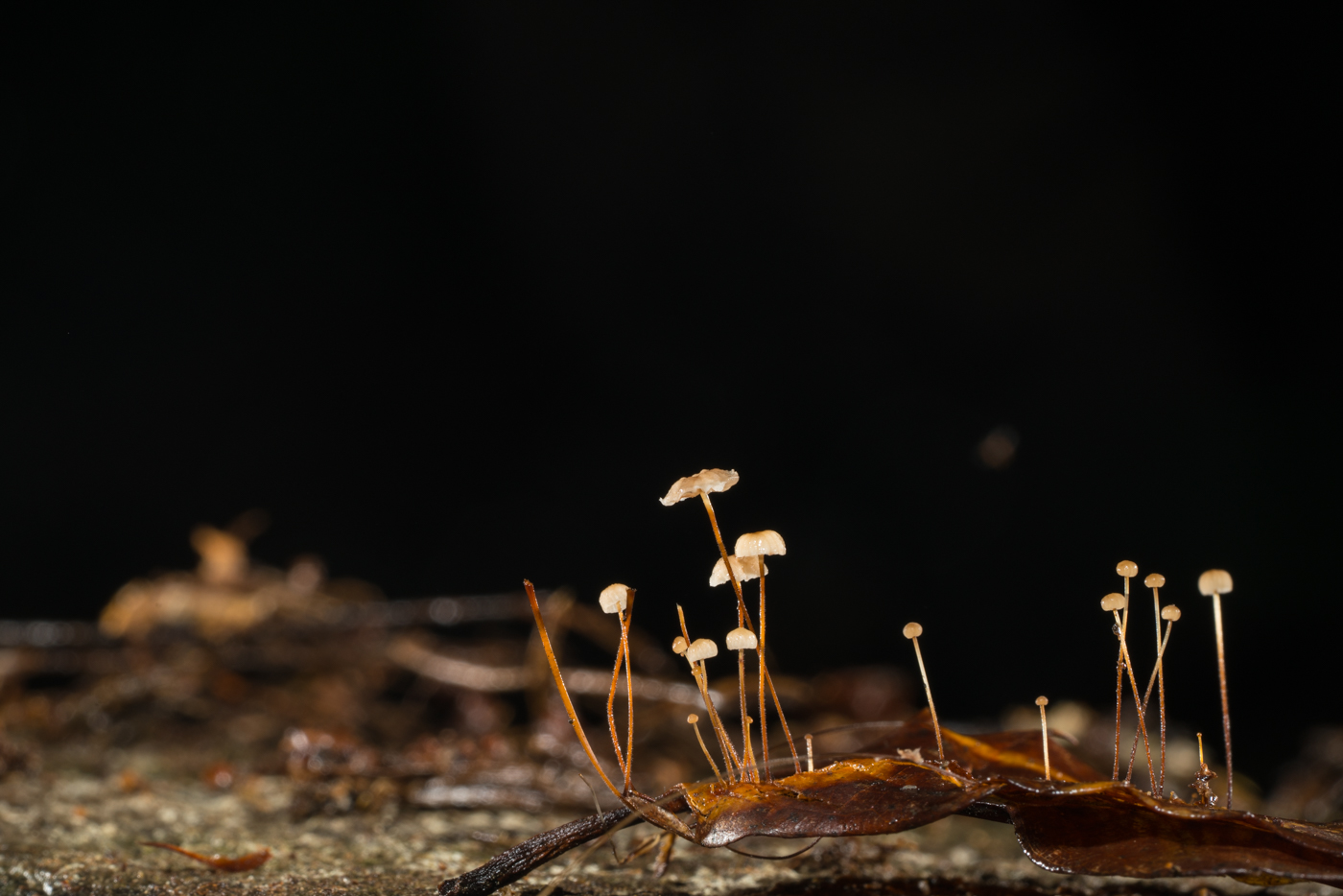 YDY02750.jpg
