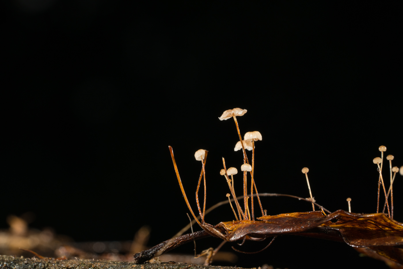 YDY02752.jpg