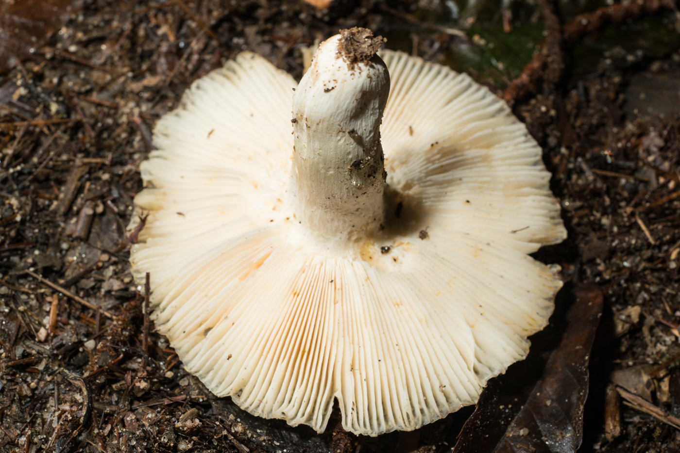 YDY02781.jpg