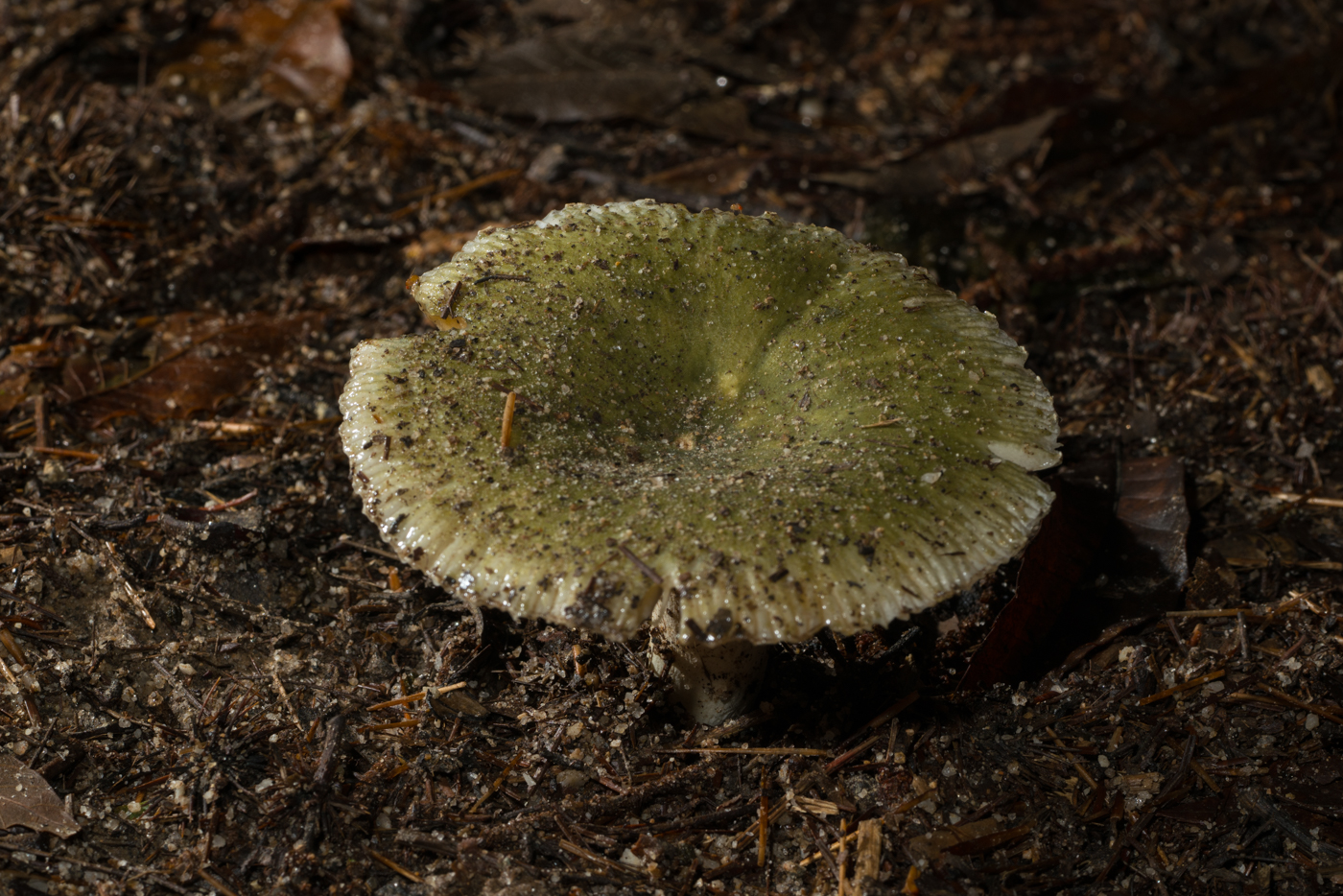YDY02776.jpg