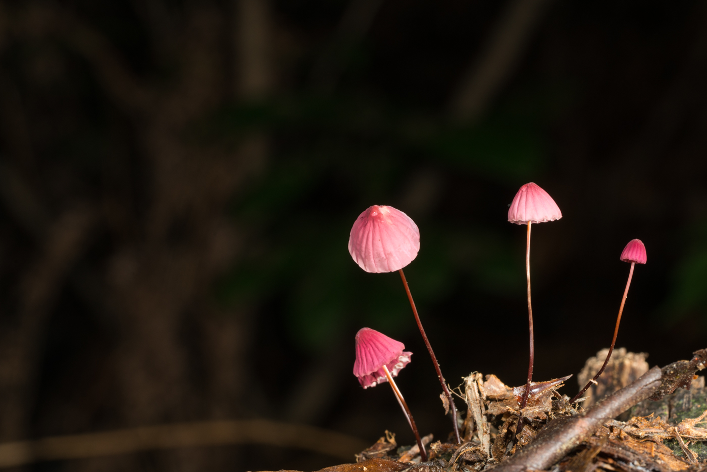 YDY02872.jpg