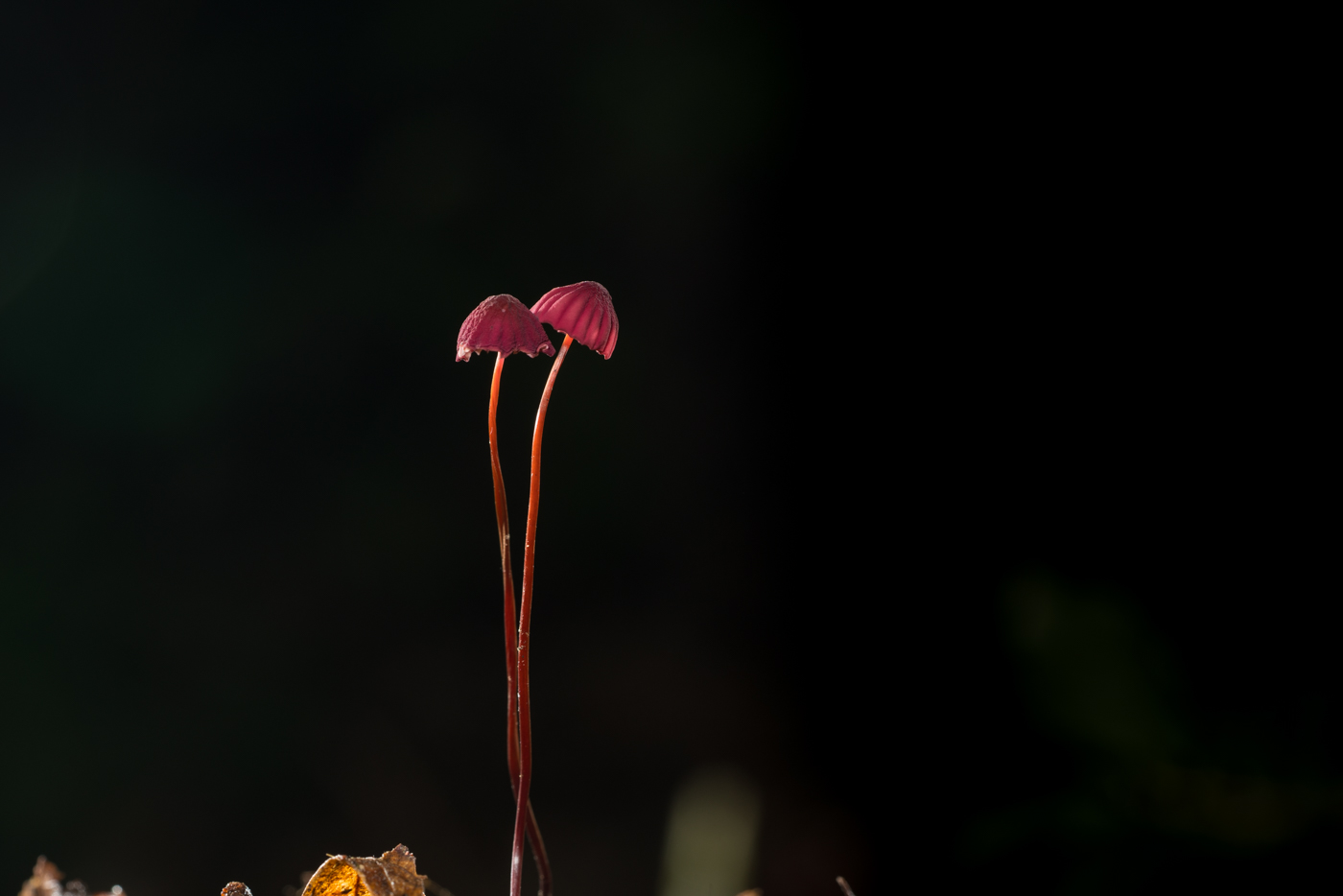 YDY02857.jpg