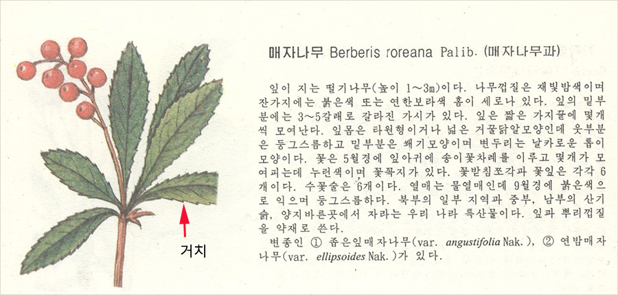 거치.jpg