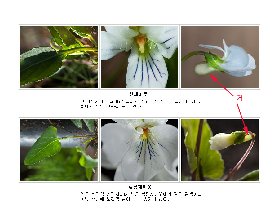 거01.jpg
