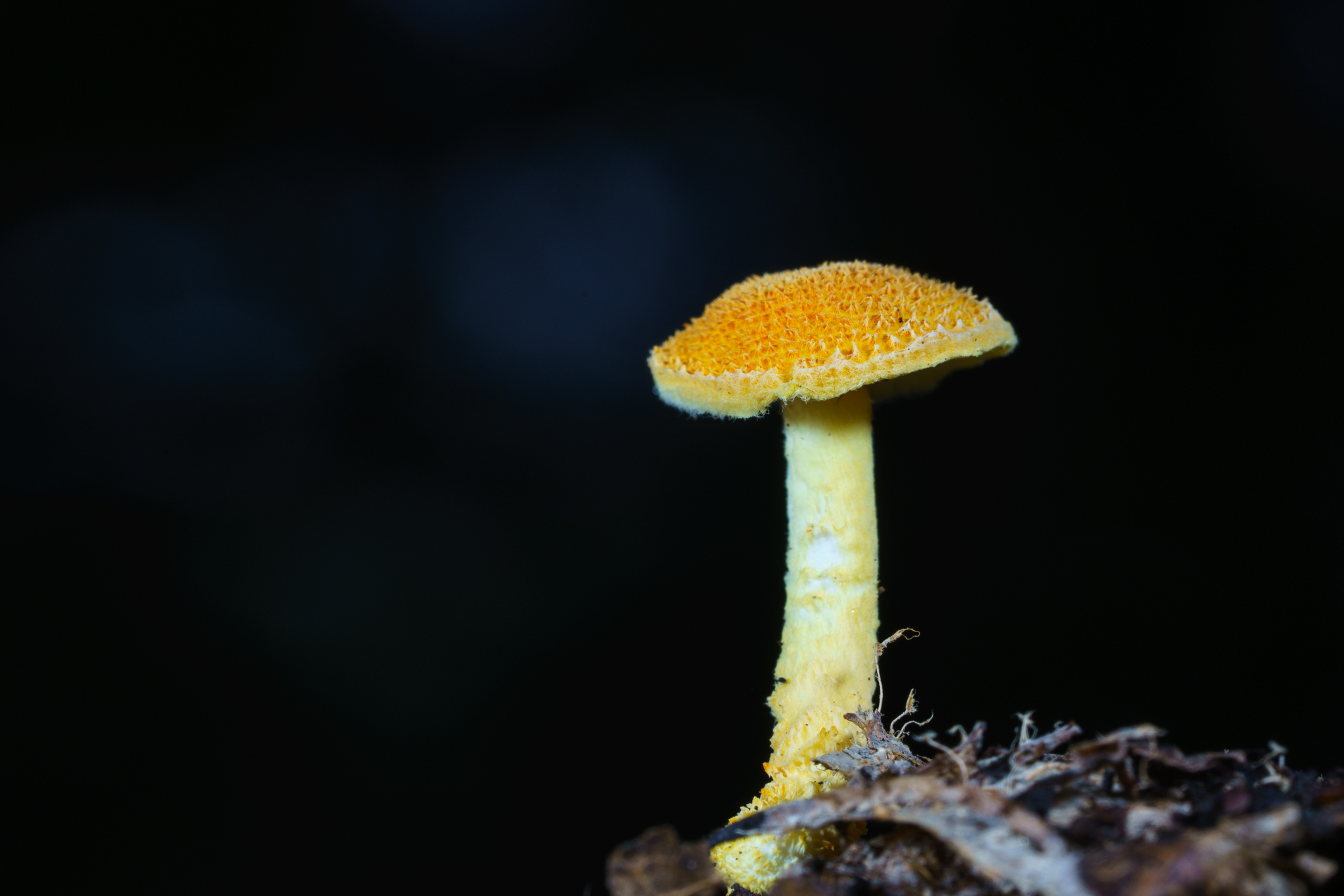 YDY06517.jpg