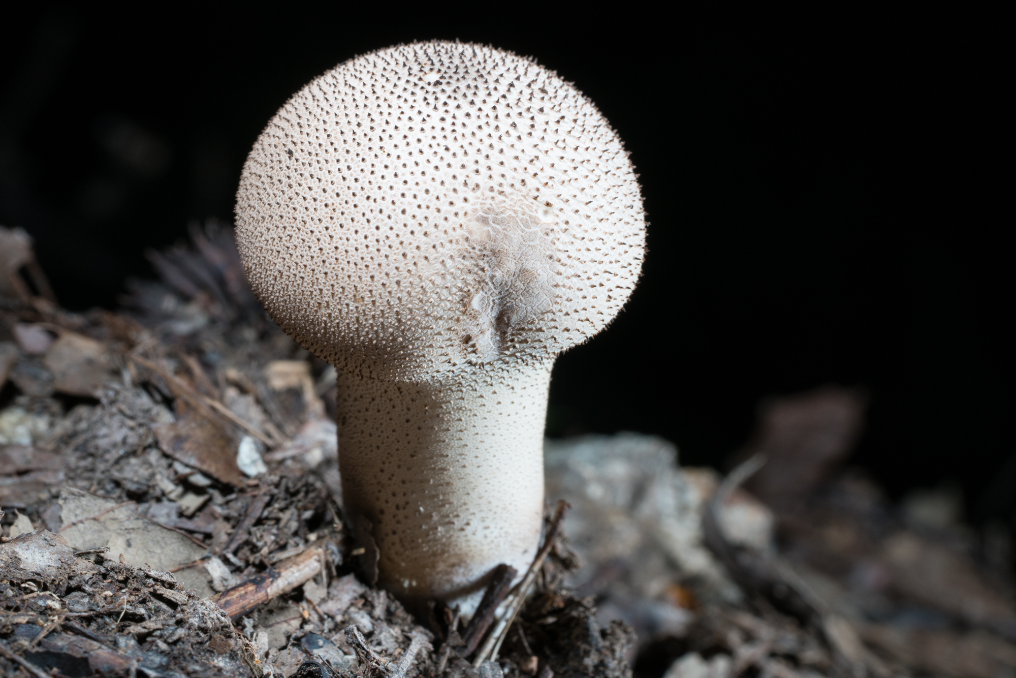 YDY06347.jpg