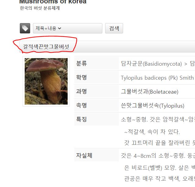 캡처.JPG