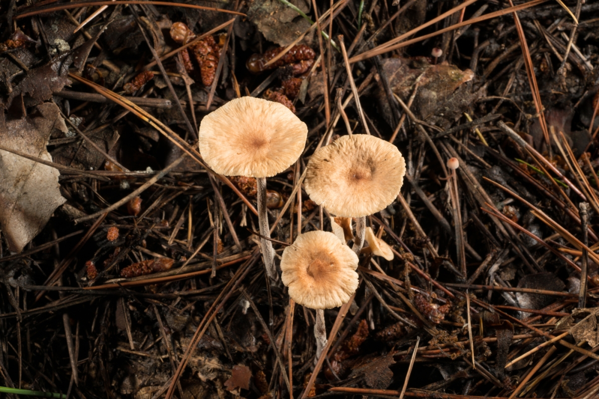 YDY08335.jpg