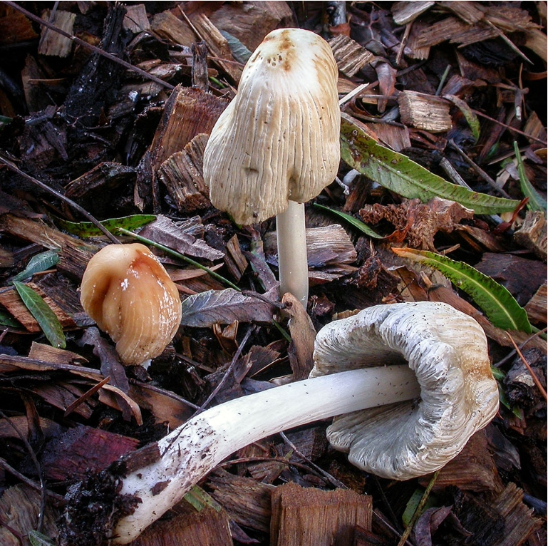 20170428_143904.jpg