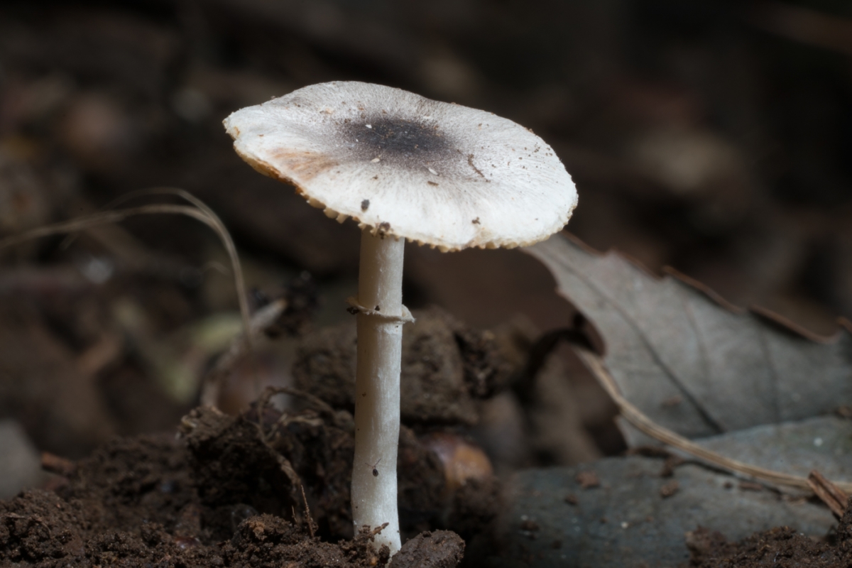 YDY03643.jpg