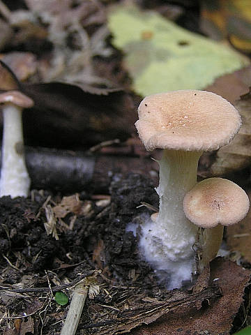 1344_2.jpg