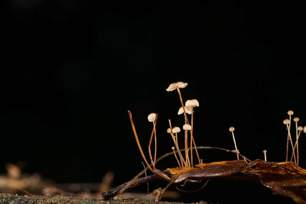 YDY02752.jpg