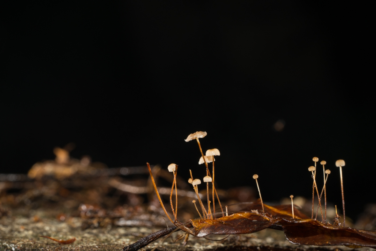 YDY02750.jpg