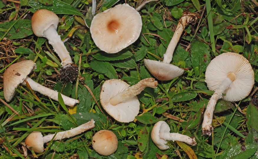 D80A2399.sized.jpg