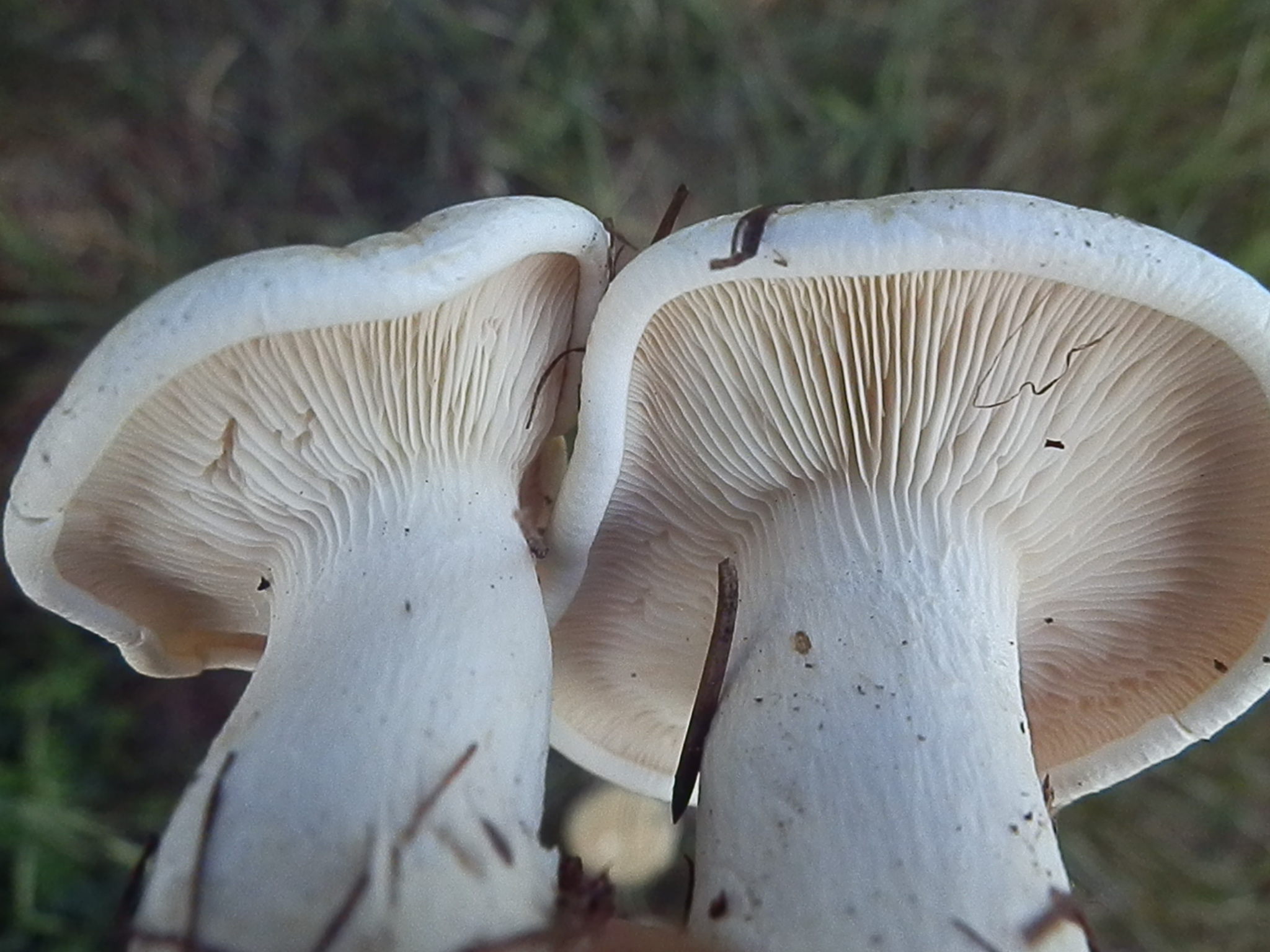 649511.jpg