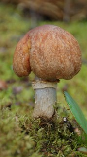 b48b3430.jpg