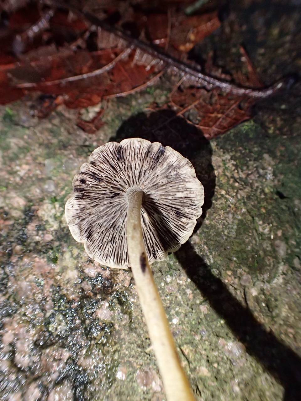 506497.jpg