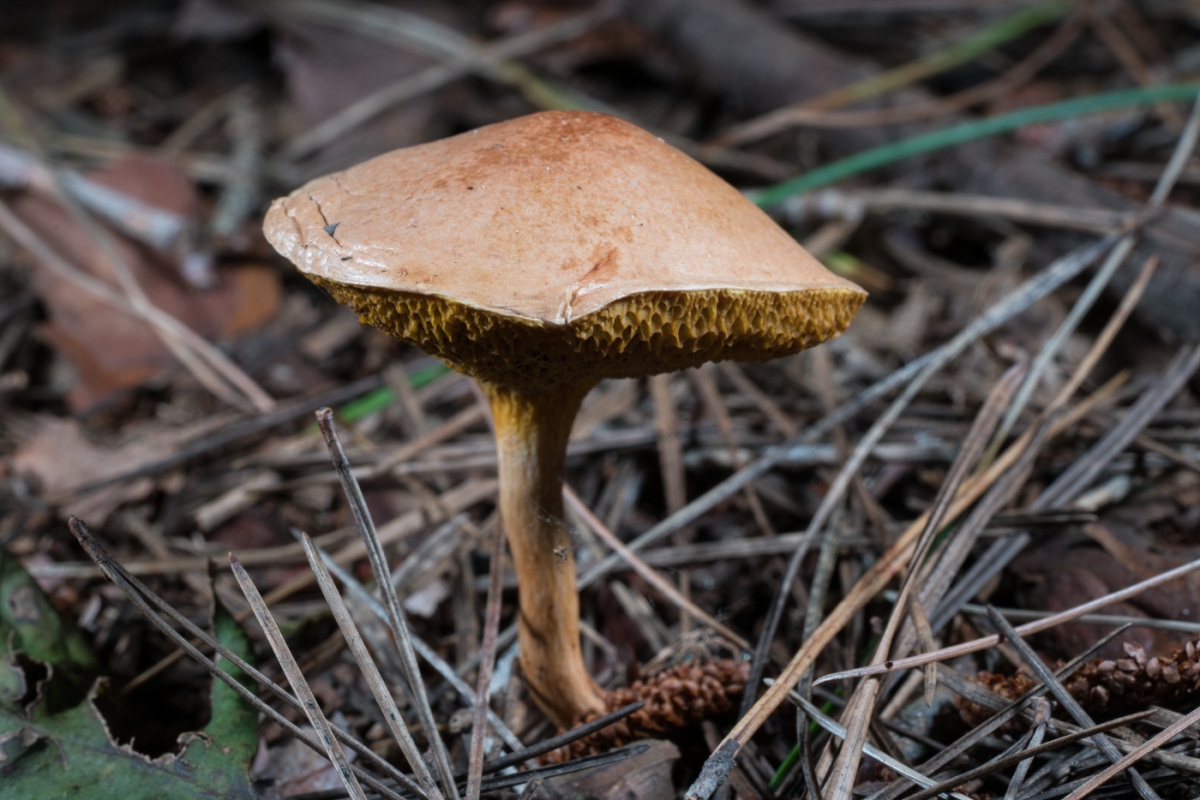 09831dde4a1884da03acaea84e7248c3.jpg