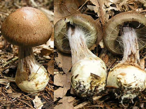 1810_1.jpg