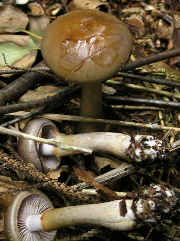 1810_2.jpg