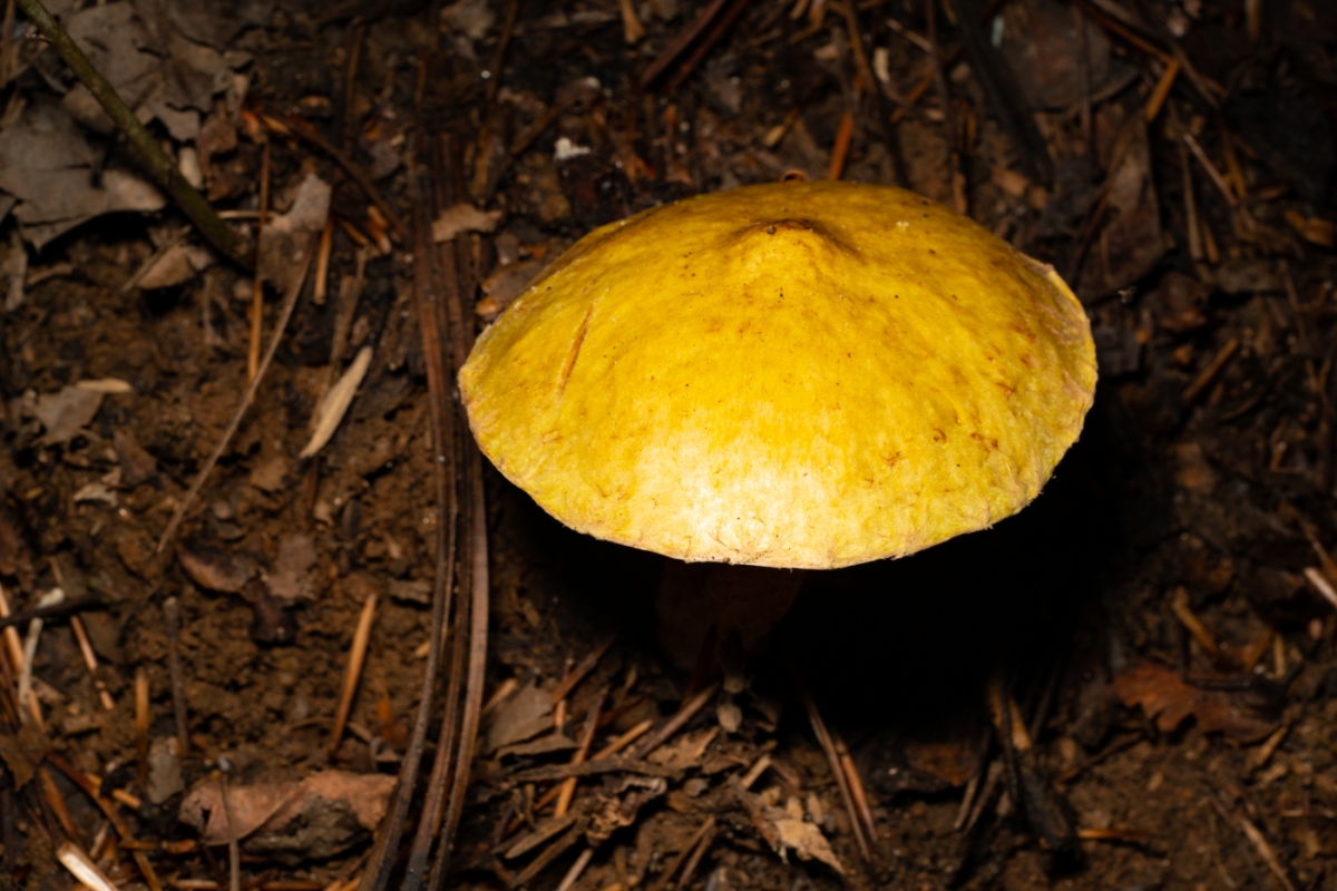 YDY01017.jpg