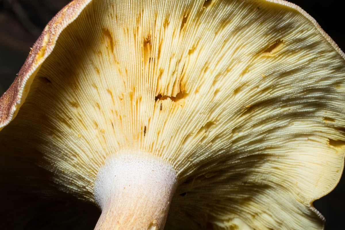 YDY04333.jpg
