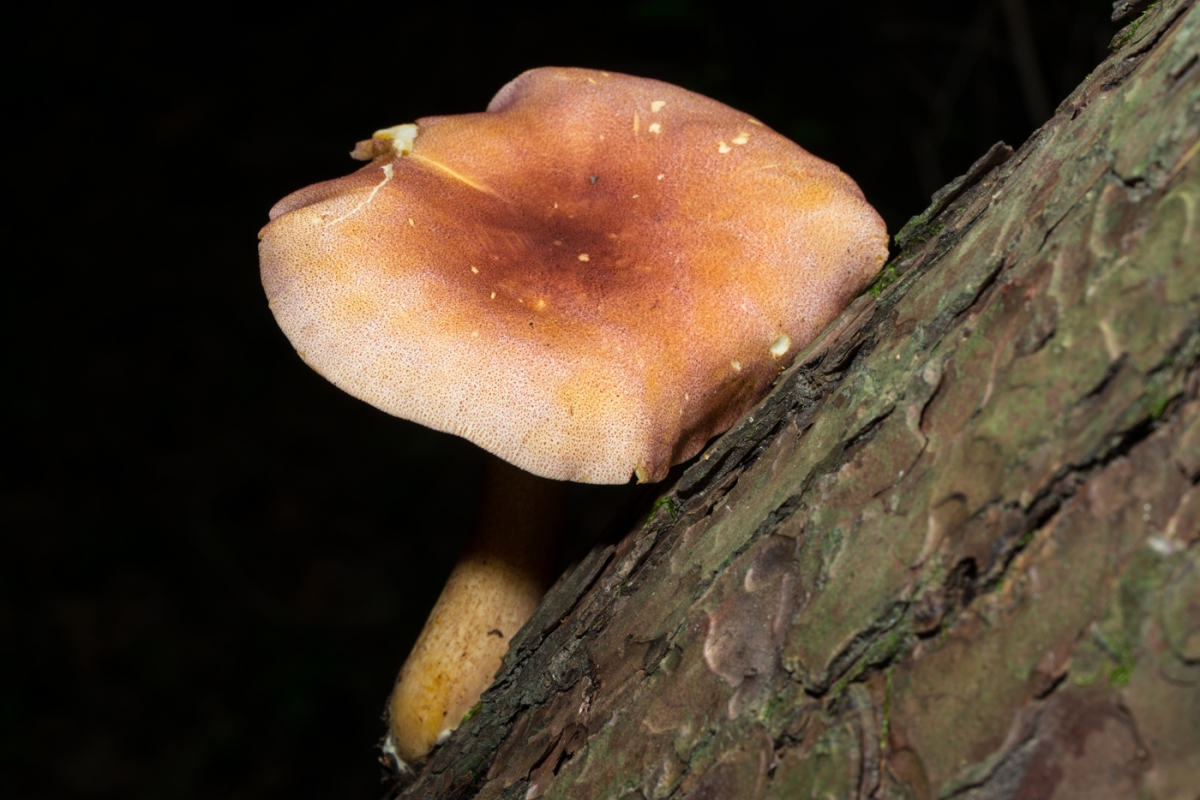 YDY04339.jpg
