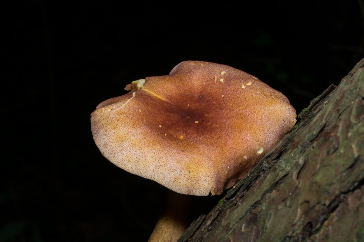 YDY04336.jpg
