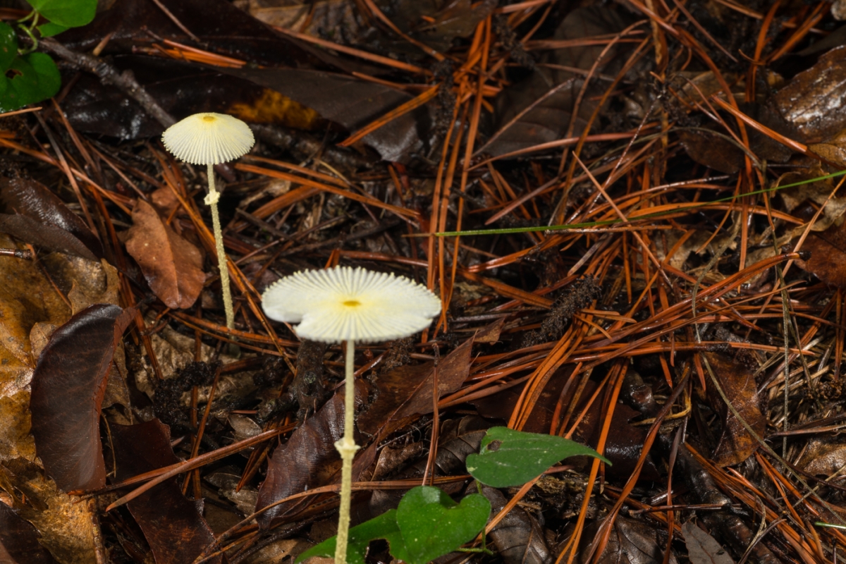 YDY02758.jpg