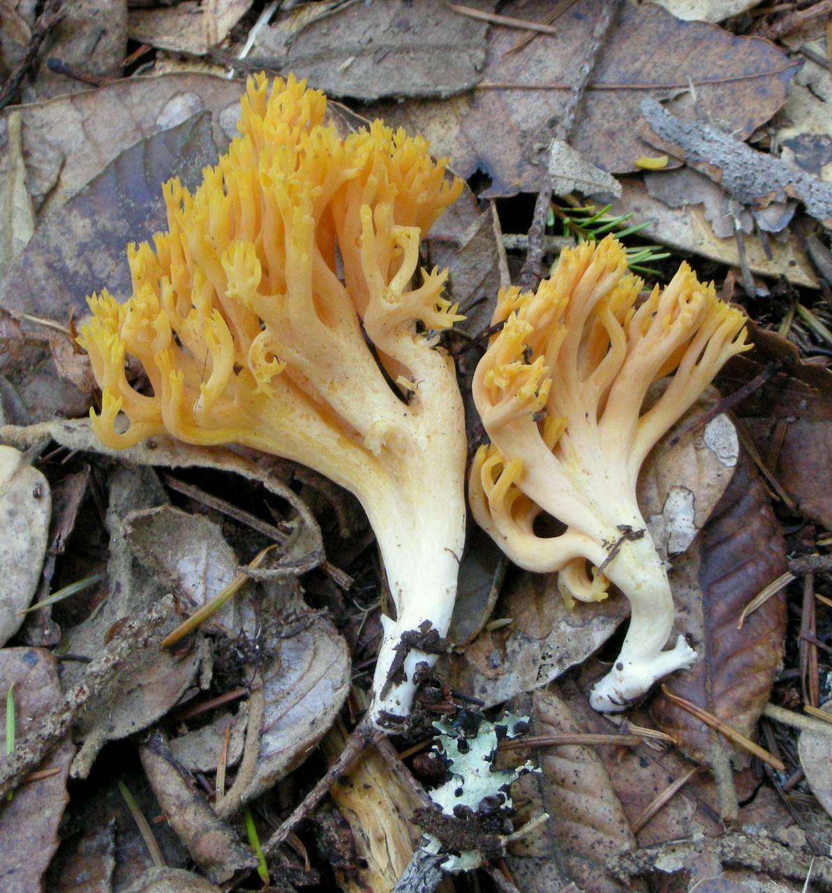 502842.jpg