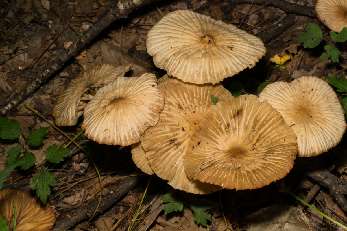 YDY08970.jpg